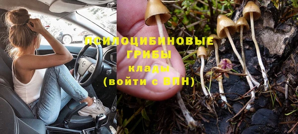 PSILOCYBIN Бронницы